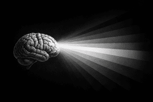 El universo que crees habitar es una reconstrucción neurológica. Fuera de tu cráneo no hay rojo, ni Do de pecho, ni el olor del café. Solo energía. Lo que llamamos realidad es la versión que fabrica tu cerebro con esos datos toscos. Y eso, lejos de ser una decepción, es la noticia más extraordinaria de la neurociencia.