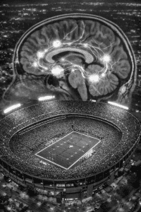 El fútbol no crea xenófobos, pero ofrece el escenario donde las predisposiciones latentes encuentran sus condiciones óptimas. Neurociencia, fusión identitaria y explotación política del tribalismo: lo que sabemos y lo que no.